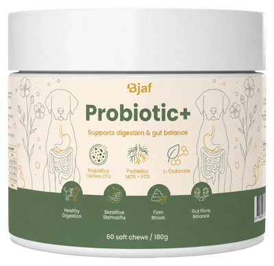 Probiotik+ Kaubissen