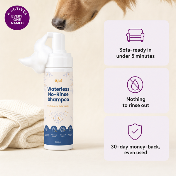 Trockenshampoo ohne Ausspülen