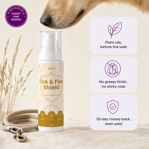 Zecken- und Floh-Schutzspray
