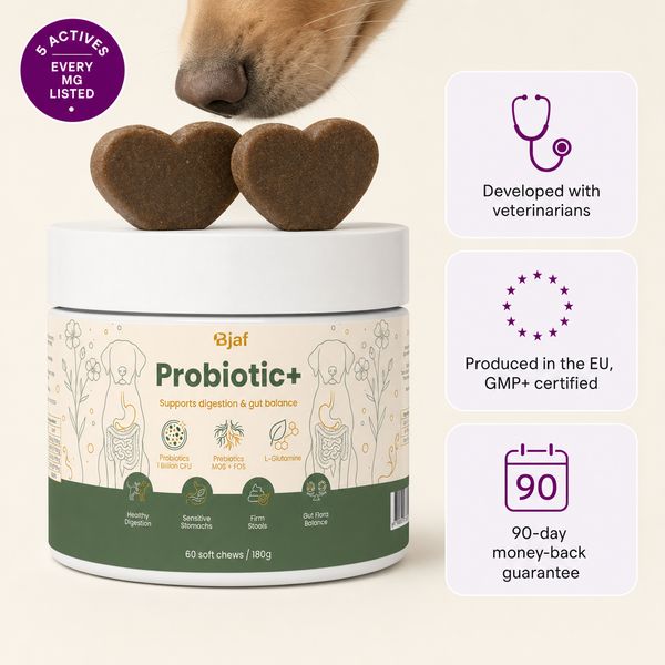 Probiotik+ Kaubissen