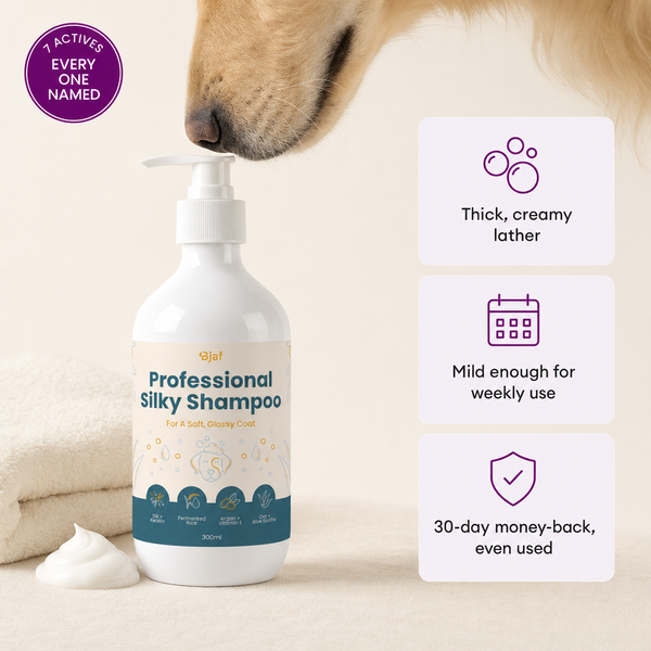 Professionelles Seidenglanz-Shampoo
