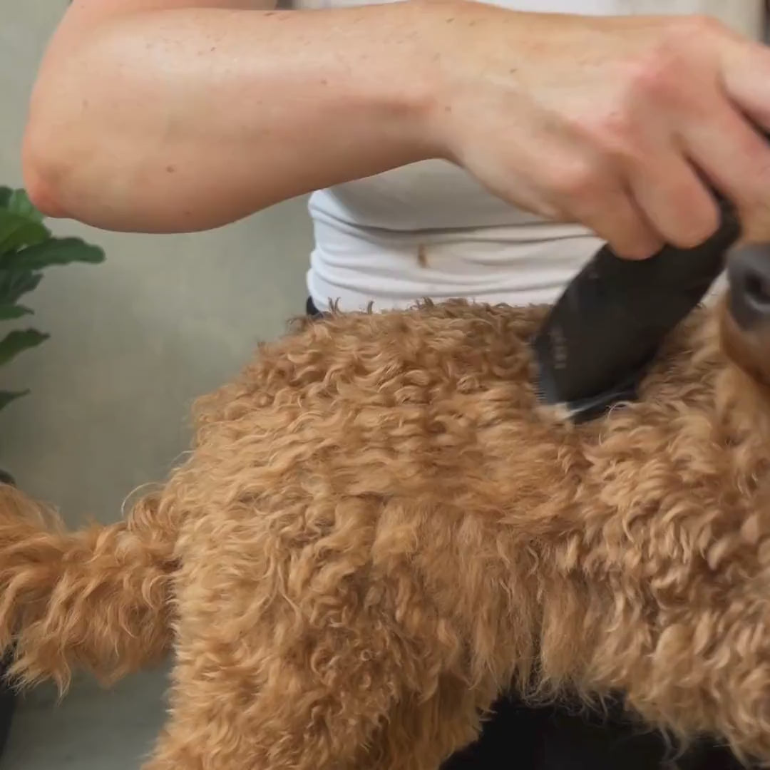 Hundeschermaschine Pro